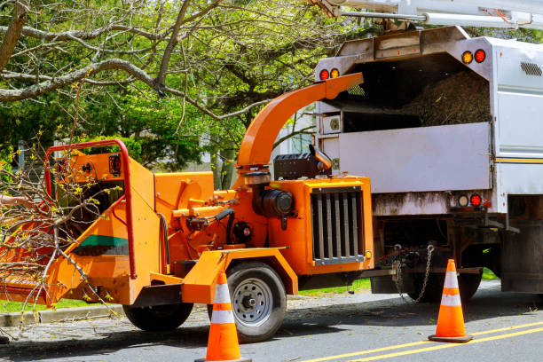 Best Lawn Dethatching Services  in Clymer, PA