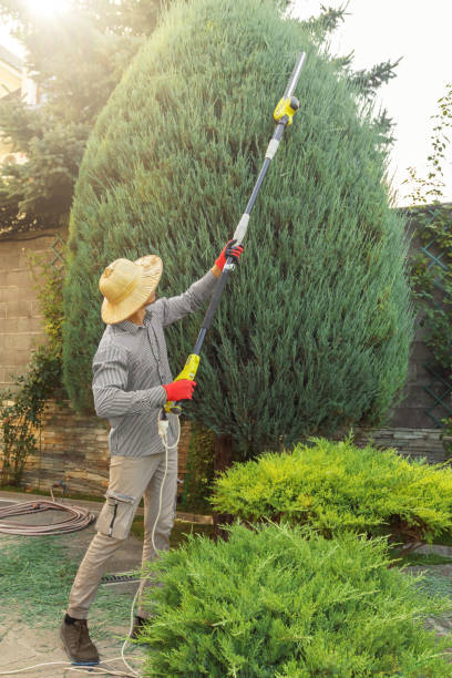 Best Lawn Irrigation Installation and Maintenance  in Clymer, PA